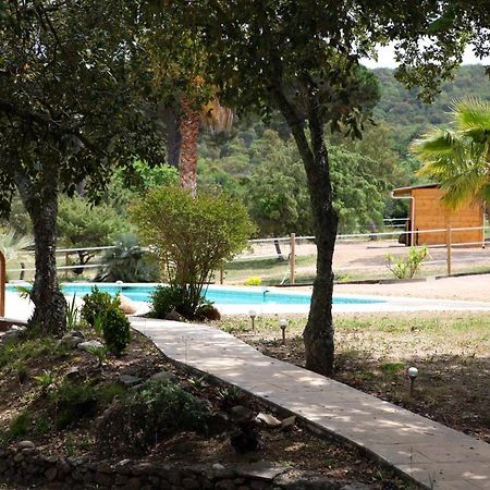 Villa Villekulla Dependance Avec Spa Privatif Le Plan-de-la-Tour 外观 照片