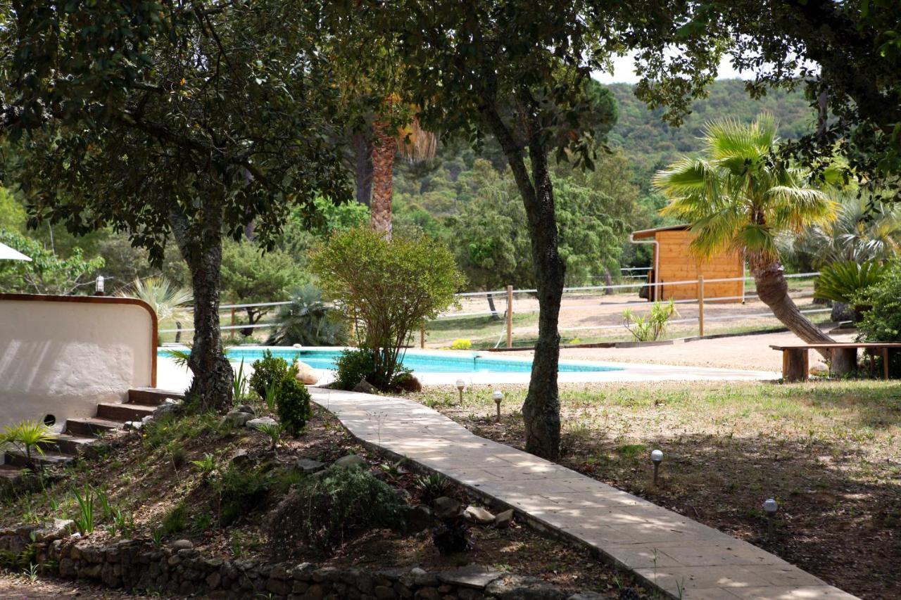 Villa Villekulla Dependance Avec Spa Privatif Le Plan-de-la-Tour 外观 照片
